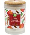 Air Wick Vonná sviečka v skle Apple orchard & ceylon cinnamon 185g