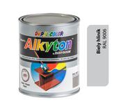 Alkyton lesklá R9006 strieborná 250ml