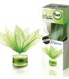 Brait Osviežovač vzduchu Kytica voňavých listov Green Diamond  50ml
