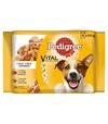 Pedigree kapsička ADULT hovädzie a kuracie mäso 4x100g