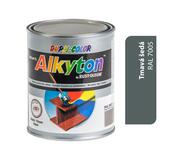 Alkyton lesklá R7005 šedá tmavá 750ml