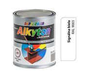 Alkyton lesklá R9003 signálna biela 2,5l
