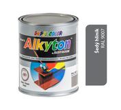 Alkyton lesklá R9007 šedý hliník 250ml