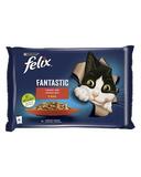 FELIX Fantastic cat Multipack hovädzie&kura želé kapsička 4x85 g