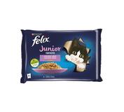 FELIX Fantastic cat Multipack junior kura&losos želé kapsička 4x85 g