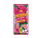 Forestina Hoštický Substrát pre muškáty 20L