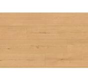 kompozit CLASSEN PRO NATURE 64633 DUB IPOLA