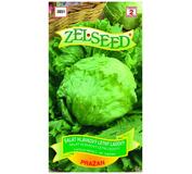 Osivo- Šalát letný ľadový Pražan 0,7g ZEL