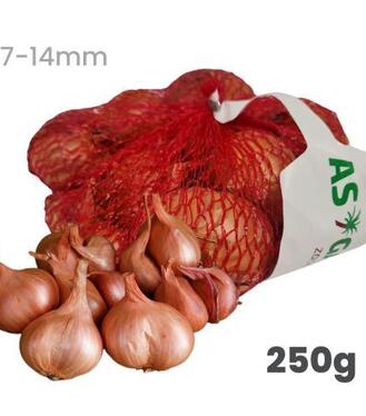 Cibuľa sadzačka ŠALOTKA RED SUN červená 250g 7-14mm A!