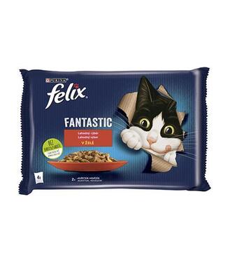 FELIX Fantastic cat Multipack hovädzie&kura želé kapsička 4x85 g