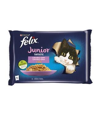 FELIX Fantastic cat Multipack junior kura&losos želé kapsička 4x85 g