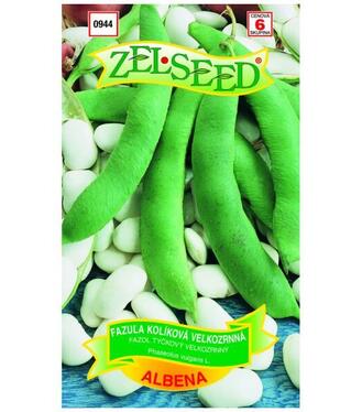 Osivo- Fazuľa kolíková Albena 38g ZEL