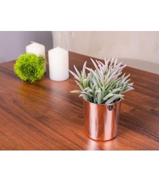 Sukulent MagicHome S31274, 16 cm, crepnik- keramika, zlaty