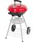 Strend Pro Pluto BBQ Gril na drevené uhlie 36x46.5x71cm