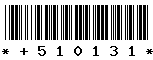 +510131