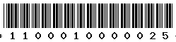 1100010000025