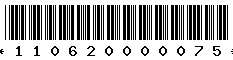 110620000075