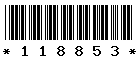 118853