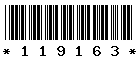 119163