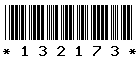 132173 132173