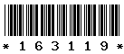163119 163119