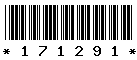171291 171291