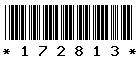 172813