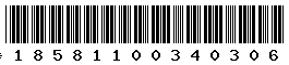 18581100340306