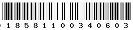 18581100340603
