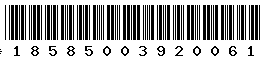 18585003920061