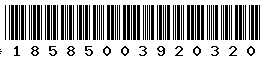 18585003920320