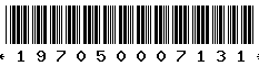 197050007131 197050007131