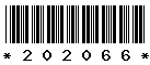 202066
