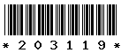 203119 203119