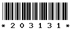 203131