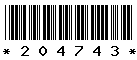 204743