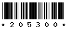 205300