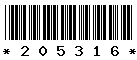 205316 205316