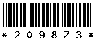209873