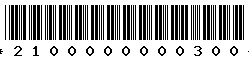 2100000000300 2100000000300