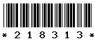 218313