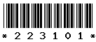 223101