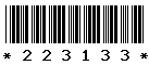 223133