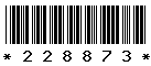 228873