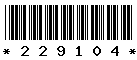 229104