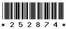 252874