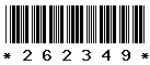 262349