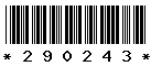 290243