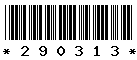 290313