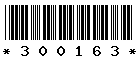 300163
